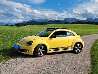 VW Beetle