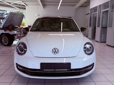 VW Beetle