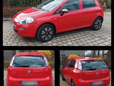 Gebraucht Fiat Punto Young 69 PS (50 kW) 2015 Rot Kleinwagen