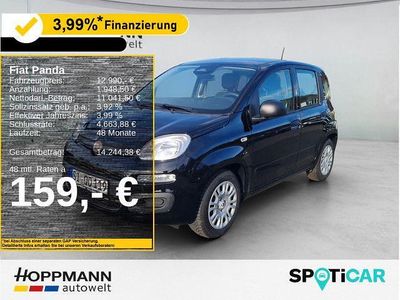 Gebraucht Fiat Panda 65 PS (47 kW) 2025 Schwarz Kleinwagen