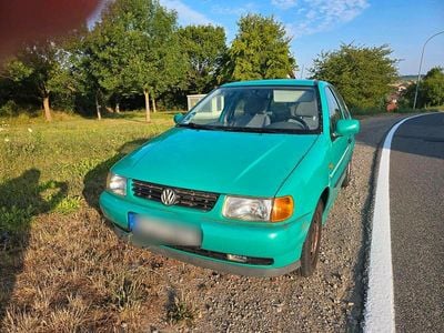 VW Polo