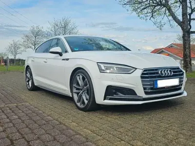 Gebraucht Audi A5 Sportback S-Line 190 PS (139 kW) 2019 Weiß Kleinwagen