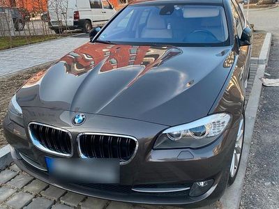 Braun Gebraucht 2010 BMW 520 Kombi | 8.800 € (Etwas zu teuer)