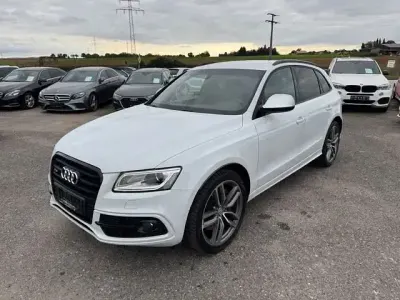 Gebraucht Audi SQ5 Sport 326 PS (239 kW) 2016 Gletscherweiss SUV
