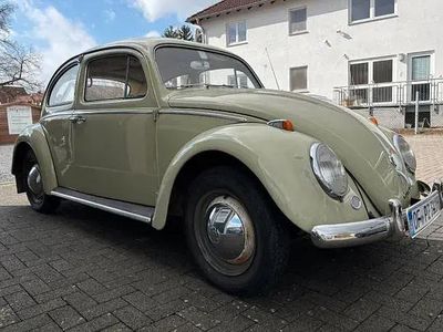 Occasion VW Käfer 30 ch (22 kW) 1959 Vert