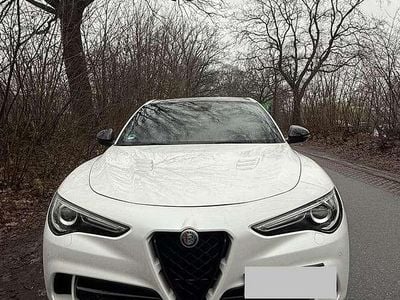 Gebraucht Alfa Romeo Stelvio Quadrifoglio 510 PS (375 kW) 2020 Weiß SUV