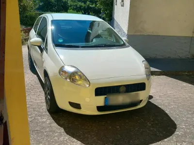Brugt Fiat Punto