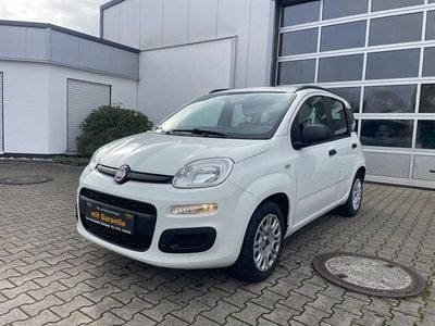 Weiß Gebraucht 2014 Fiat Panda Kleinwagen | 6.499 € (Fairer Preis)