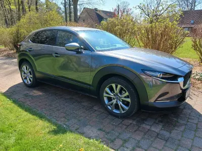 Gebraucht Mazda CX-30 Selection 150 PS (110 kW) 2020 Grau SUV