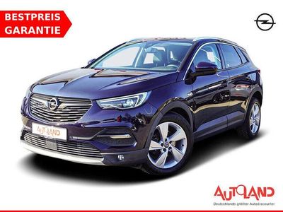 Gebraucht Opel Grandland X 131 PS (96 kW) 2018 Blau SUV