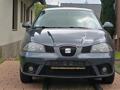 Grau Gebraucht 2007 Seat Ibiza Kleinwagen | 2.500 € (Etwas zu teuer)