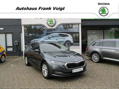 gebraucht Skoda Octavia First Edition