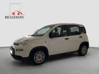 Gebraucht Fiat Panda