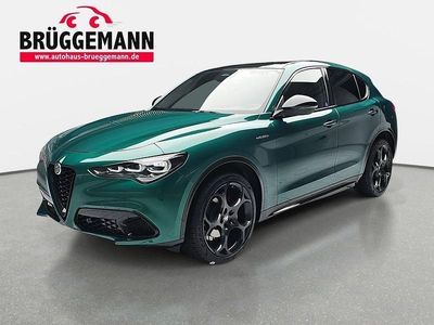 Neu Alfa Romeo Stelvio Veloce 209 PS (153 kW) 2026 Verde montreal SUV