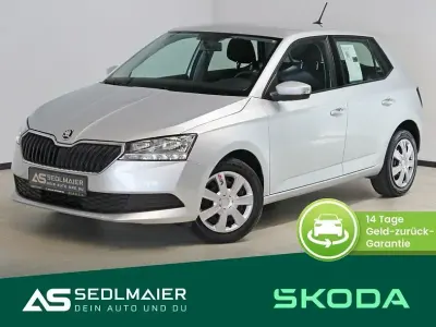 Gebraucht Skoda Fabia Cool Plus 75 PS (55 kW) 2019 Silber Kleinwagen