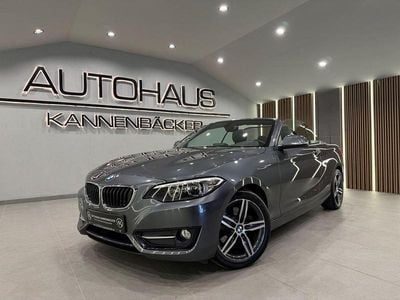 Grau Gebraucht 2016 BMW 220 Sport Line Cabrio | 16.990 € (Fairer Preis)