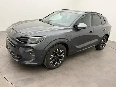 Usata Cupra Terramar 204 CV (150 kW) 2025 Grigio SUV