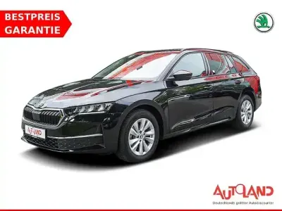 Gebraucht Skoda Octavia Style 190 PS (139 kW) 2024 Black magic perleffekt Kombi
