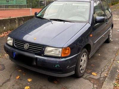 VW Polo