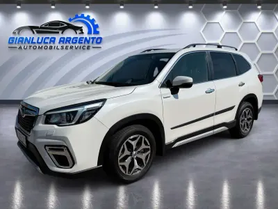 Gebraucht Subaru Forester Comfort 150 PS (110 kW) 2020 Weiß SUV