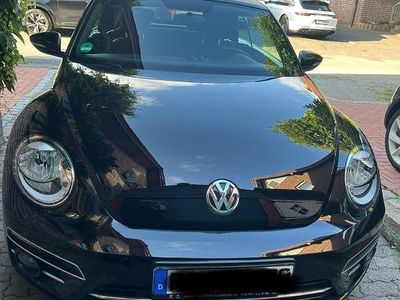 VW Beetle