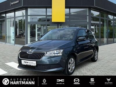 Usata Skoda Fabia Cool Plus 60 CV (44 kW) 2019 Grigio Berlina