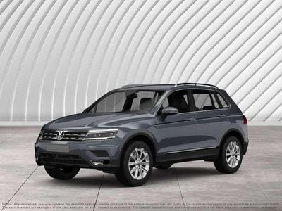 Gebraucht VW Tiguan Life 150 PS (110 kW) 2023 Delfingrau metallic SUV