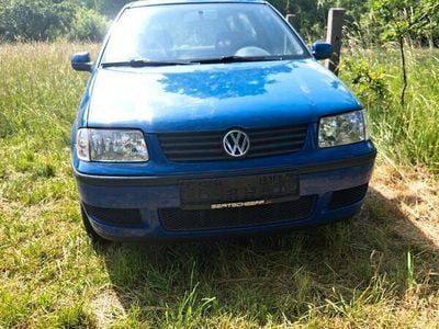 VW Polo