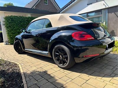 VW Beetle