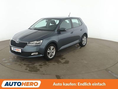Gebraucht Skoda Fabia Ambition 95 PS (69 kW) 2019 Grau Kleinwagen