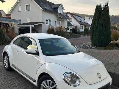 VW Beetle