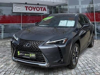 Gebraucht Lexus UX 250h 184 PS (135 kW) 2022 Grau SUV