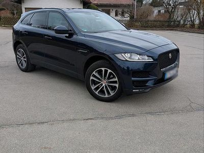 Gebraucht Jaguar F-Pace Portfolio 300 PS (220 kW) 2017 Blau SUV