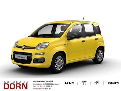 Neu Fiat Panda Icon 65 PS (47 kW) 2026 Positano gelb Kleinwagen