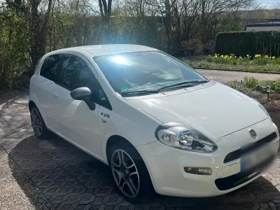 Usata Fiat Punto Young 69 CV (50 kW) 2015 Bianco Utilitaria