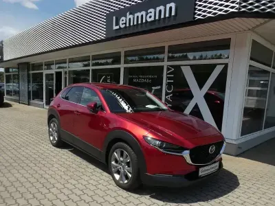 Gebraucht Mazda CX-30 Selection 122 PS (89 kW) 2019 Rot SUV
