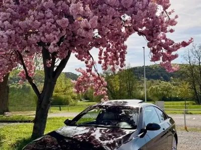 Gebraucht BMW 325 M Sport 197 PS (144 kW) 2008 Schwarz Coupé