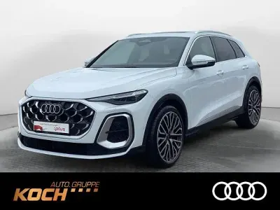 Gebraucht Audi SQ5 Ambiente 368 PS (270 kW) 2025 Gletscherweiß metallic SUV
