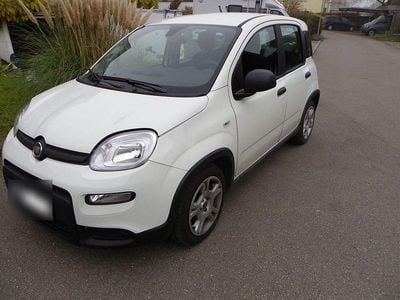 Second-hand Fiat Panda 69 CP (50 kW) 2024 Alb Hatchback