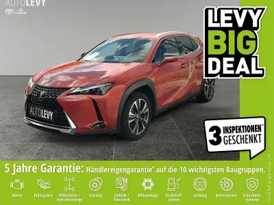 Gebraucht Lexus UX 250h Sport Line 184 PS (135 kW) 2024 Rot SUV
