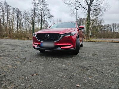 Gebraucht Mazda CX-5 184 PS (135 kW) 2018 Rot SUV