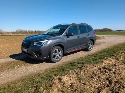 Gebraucht Subaru Forester