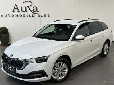 Gebraucht Skoda Octavia Ambition 150 PS (110 kW) 2023 Moonweiss Kombi