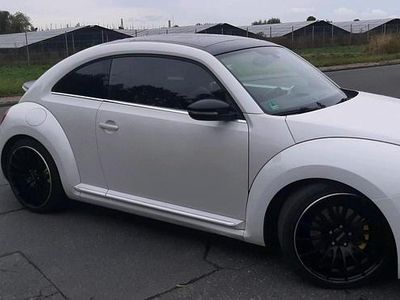 VW Beetle