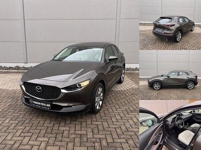 Gebraucht Mazda CX-30 Selection 179 PS (131 kW) 2020 SUV