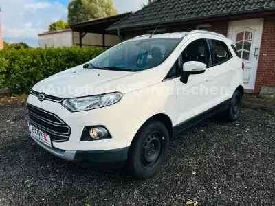 Gebraucht Ford Ecosport Titanium 125 PS (91 kW) 2015 Weiß SUV