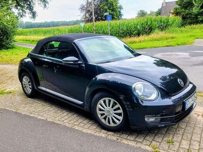 VW Beetle