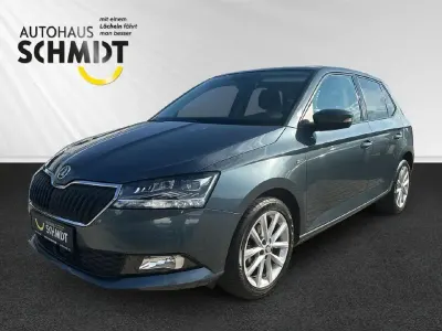 Gebraucht Skoda Fabia Soleil 75 PS (55 kW) 2019 Grau Kleinwagen