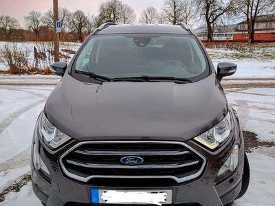 Gebraucht Ford Ecosport Titanium 125 PS (91 kW) 2020 Grau SUV