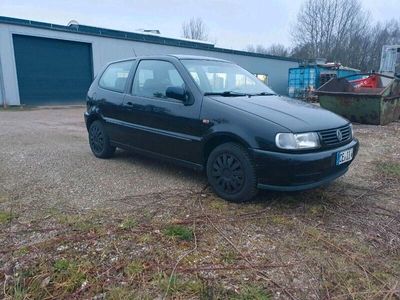 gebraucht VW Polo 